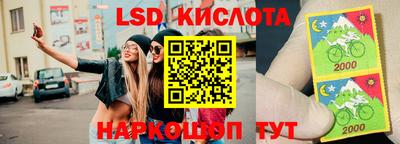 молекула духа Донецк