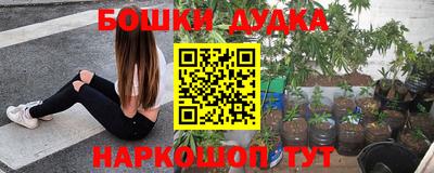 молекула духа Донецк