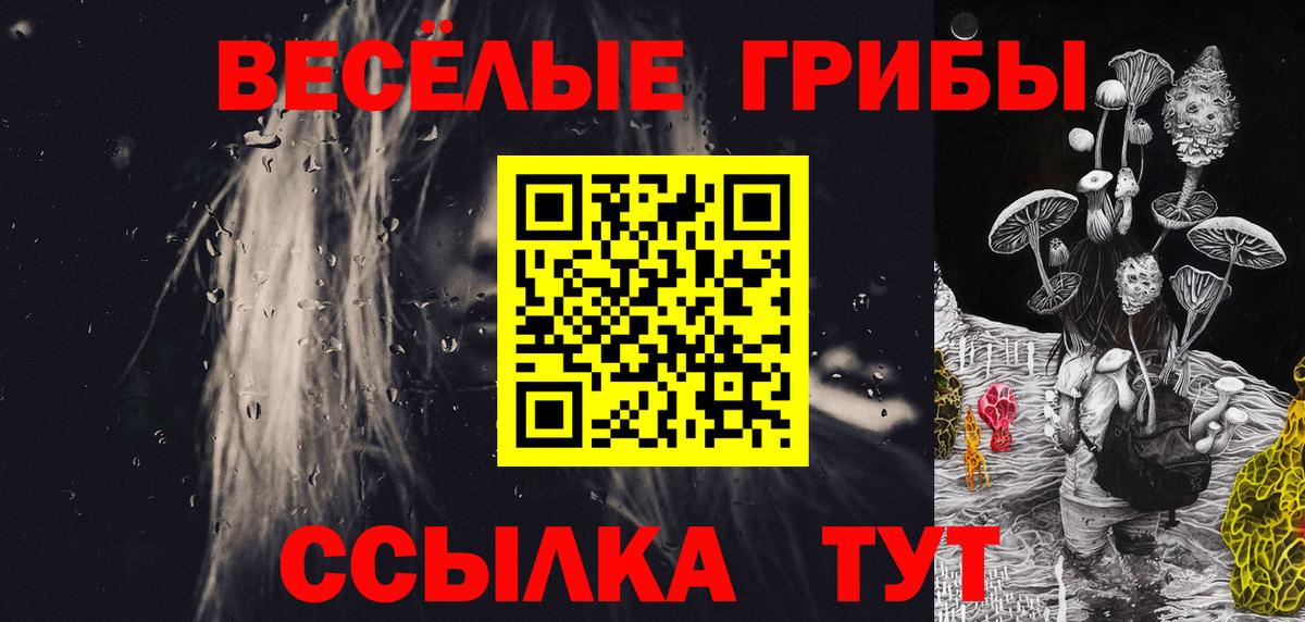 Галлюциногенные грибы Psilocybe  Вход с VPN  Кондопога 