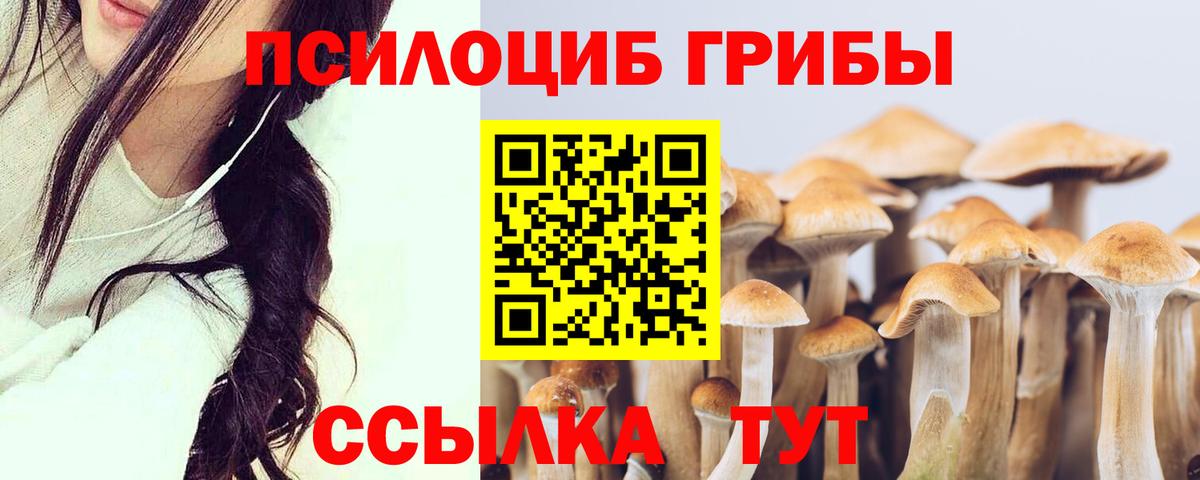 Псилоцибиновые грибы мицелий Кондопога